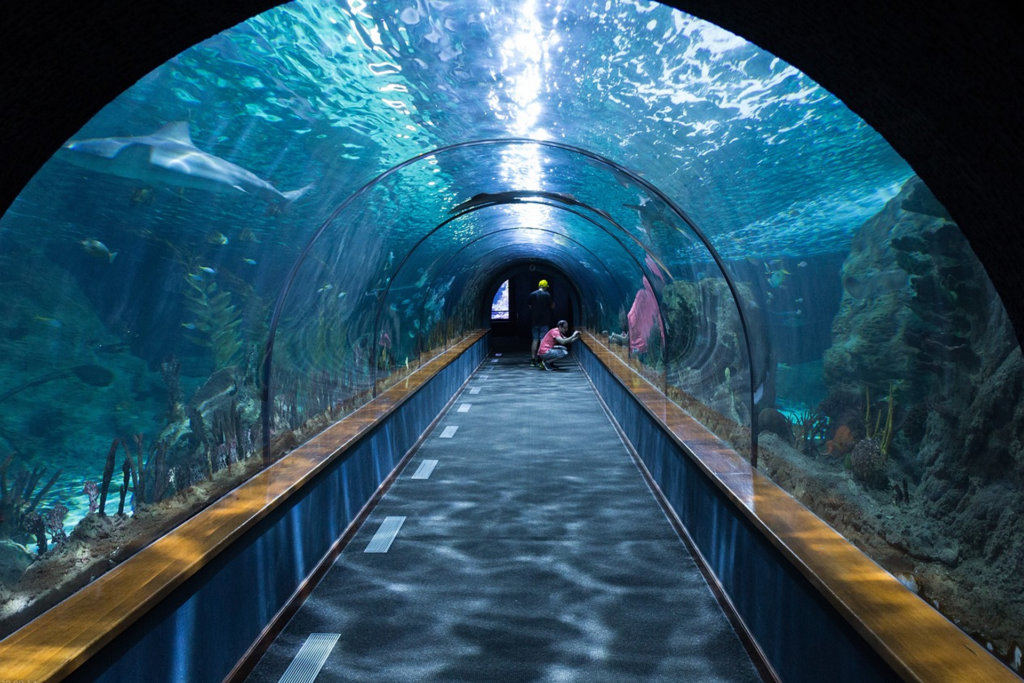 Oceanarium Tunnel